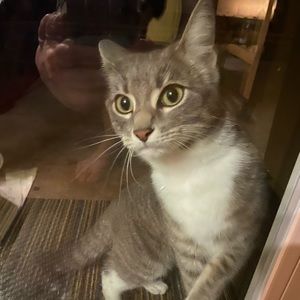 Meet your Posher, Mariana